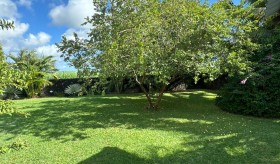  Furnished renting - House - piton  